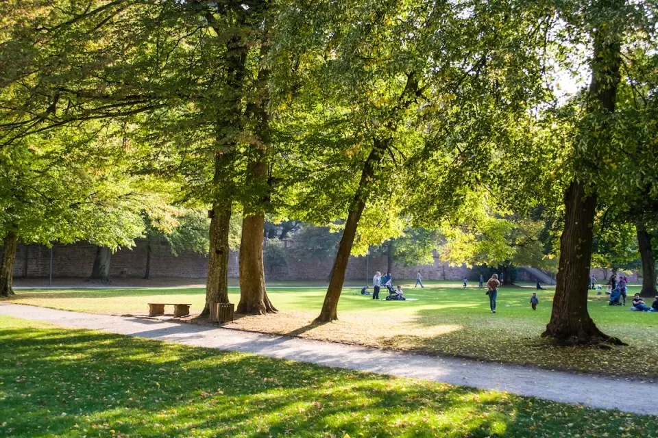 City park with paved walkway, green trees, and people sitting on lawn.